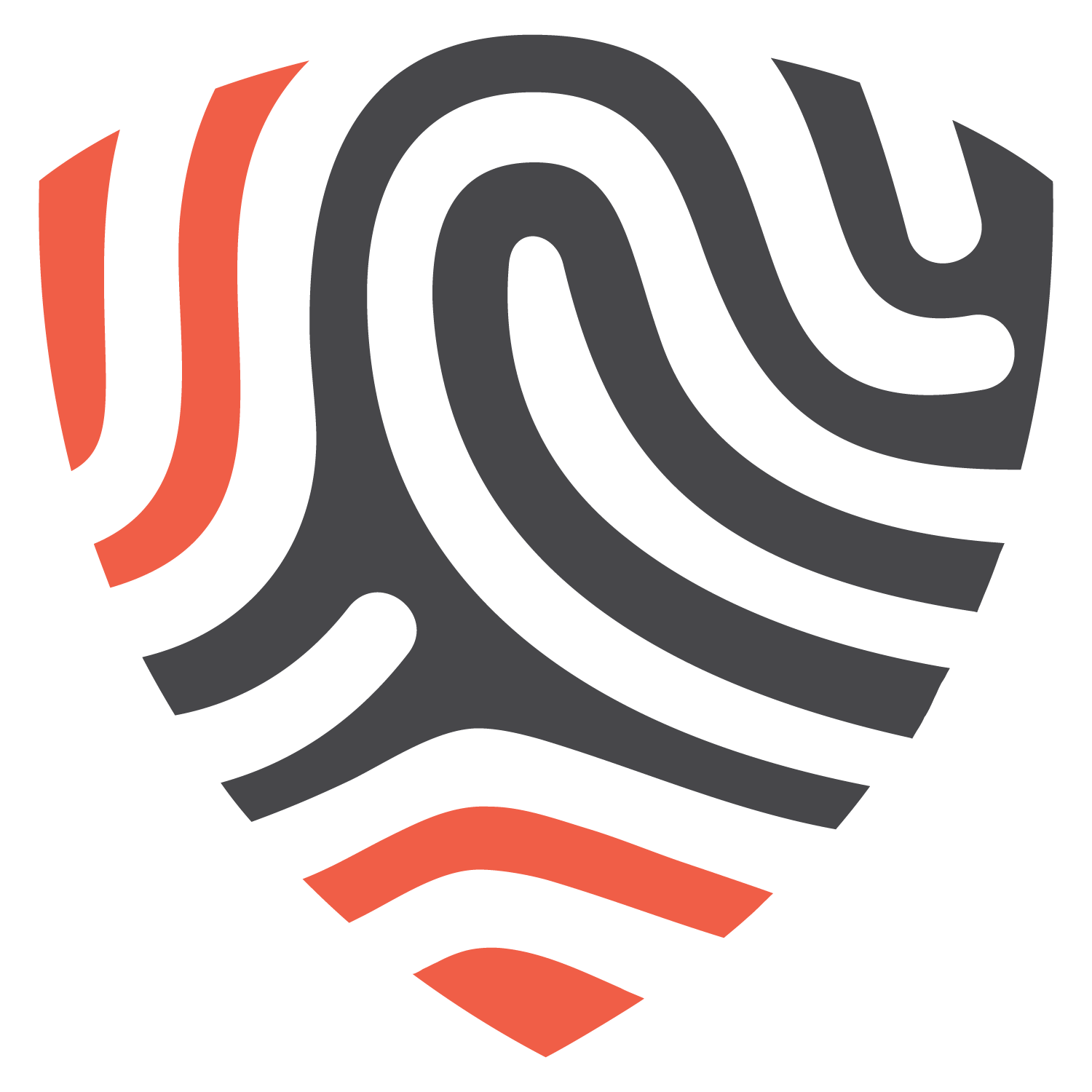 BigID logo