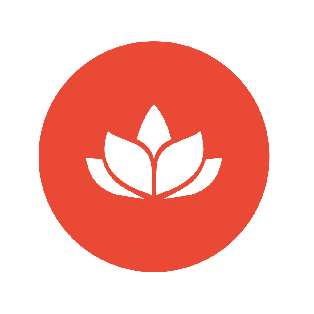 Health Samurai logo