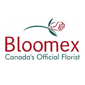 Bloomex logo